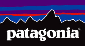 inner-image-Practical-Guide-to-Choose-an-E-Commerce-Technology-Stack-Patagonia